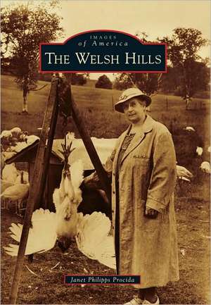 The Welsh Hills de Janet Philipps Procida