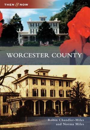 Worcester County de Robin Chandler-Miles