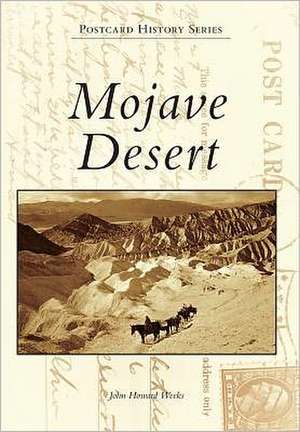 Mojave Desert de John Howard Weeks