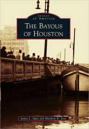 The Bayous of Houston de James L. Sipes