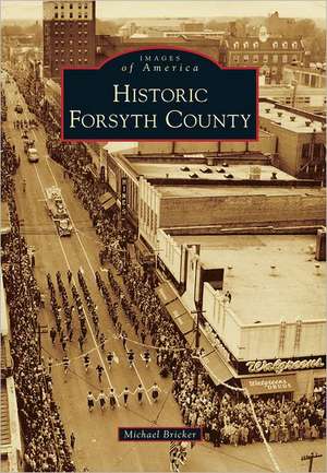 Historic Forsyth County de Michael Bricker