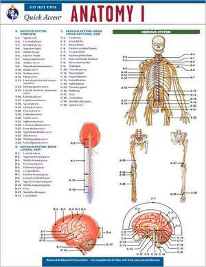 Anatomy I de Research & Education Association