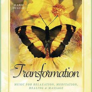 Transformation CD: Music for Relaxation, Meditation, Healing & Massage de Martin Duguay