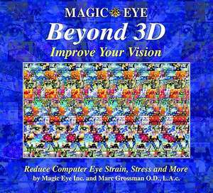 Magic Eye Beyond 3d: Improve Your Vision de Magic Eye Inc