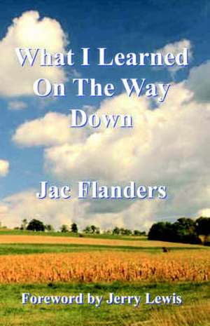 What I Learned on the Way Down: The Silent Killer de Jac Flanders