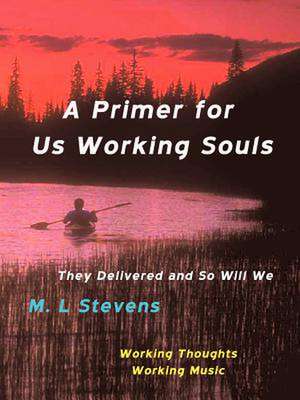 A Primer for Us Working Souls de M. L. Stevens