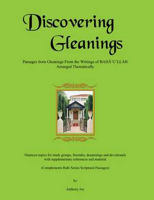 Discovering Gleanings de Tony Joy