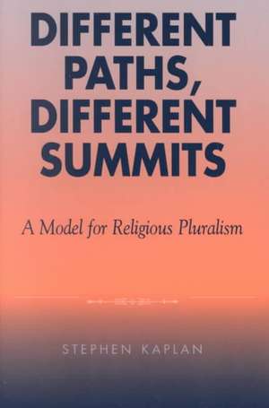 Different Paths, Different Summits de Stephen Kaplan