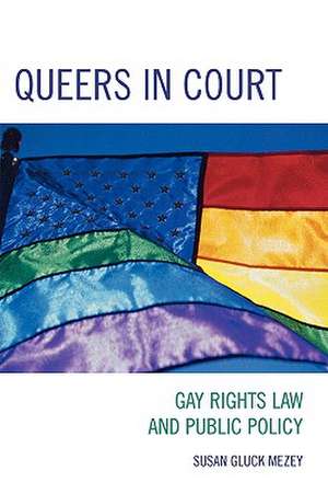 Queers in Court de Susan Gluck Mezey