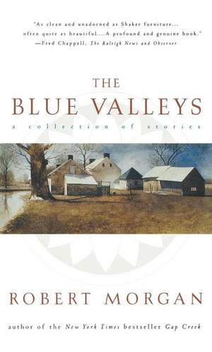 The Blue Valley de Robert Morgan