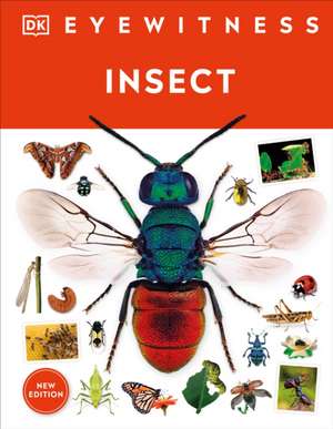 Eyewitness Insect de Dk