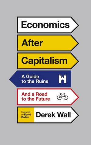 Economics After Capitalism: A Guide to the Ruins and a Road to the Future de Derek Wall