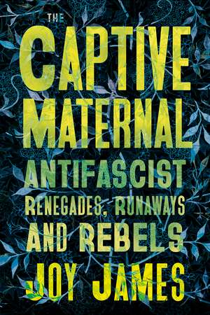 The Captive Maternal: Anti-Fascists in Search of the Beloved de Joy James