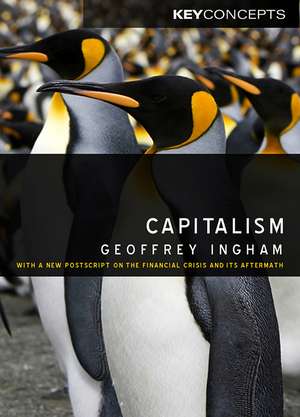 Capitalism de Geoffrey Ingham