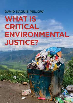 What is Critical Environmental Justice? de D Pellow