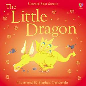 Little Dragon de Heather Amery