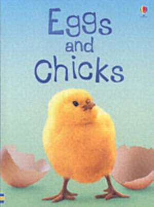 Eggs and Chicks de Fiona Patchett