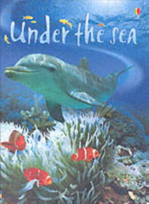 Under the Sea de Fiona Patchett