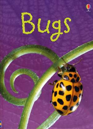 Bugs de Lucy Bowman