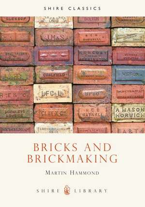 Bricks and Brickmaking de Martin Hammond