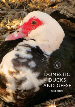 Domestic Ducks and Geese de Fred Hams