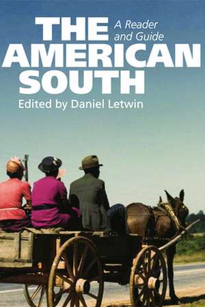 The American South de Daniel Letwin