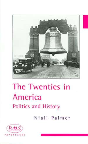 The Twenties in America de Niall Palmer