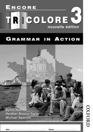 Encore Tricolore Nouvelle 3 Grammar in Action Pack (x8) de S Honnor