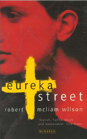 Eureka Street de Robert McLiam Wilson