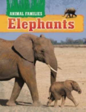 Animal Families: Elephants de Hachette Children's Books