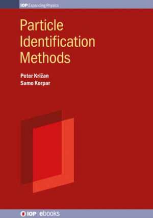 Particle Identification Methods de Peter Krizan