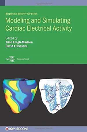 Modeling and Simulating Cardiac Electrical Activity de David J Christini