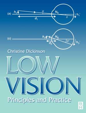 Low Vision: Principles and Practice de Christine Dickinson