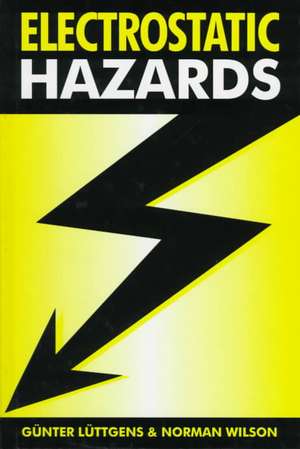 Electrostatic Hazards de Günter Luttgens