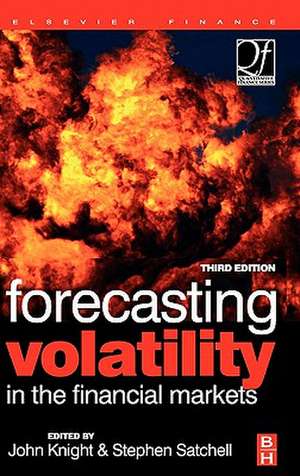 Forecasting Volatility in the Financial Markets de Stephen Satchell