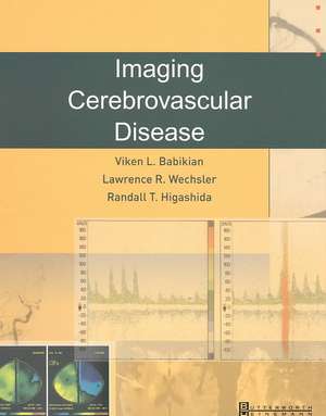 Imaging Cerebrovascular Disease de Viken L. Babikian