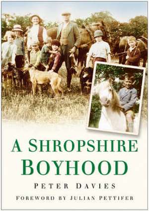 Shropshire Boyhood de Ron Davies