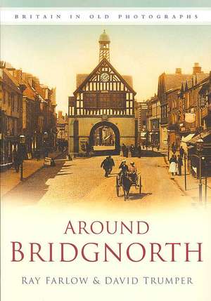 Around Bridgnorth de David Trumper