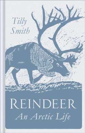 Reindeer: An Arctic Life de Tilly Smith