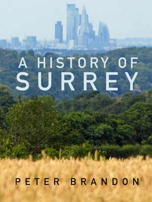 A History of Surrey de Peter Brandon