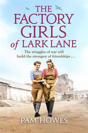 The Factory Girls of Lark Lane de Pam Howes