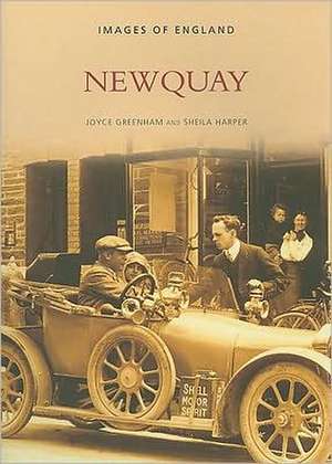 Newquay de Joyce Greenham