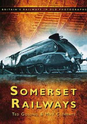 Gosling, T: Somerset Railways de Ted Gosling