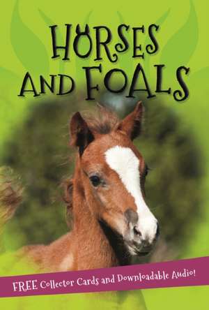 It's all about... Horses and Foals de Kingfisher