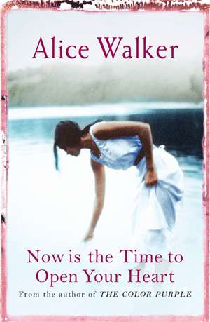 Now is the Time to Open Your Heart de Alice Walker