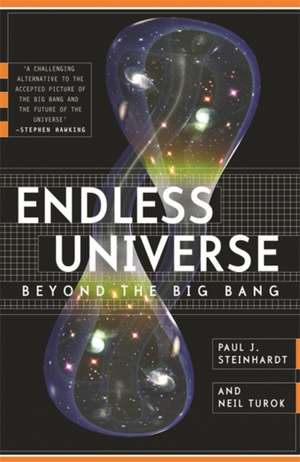 Endless Universe de Neil Turok