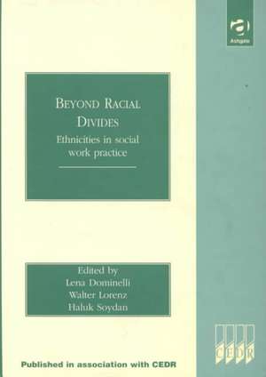 Beyond Racial Divides: Ethnicities in Social Work Practice de Lena Dominelli
