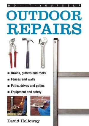 Outdoor Repairs: And Hundreds of Other Amazing Reptiles and Insects de David Holloway