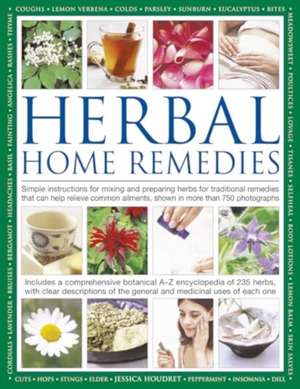 Herbal Home Remedies de Jessica Houdret