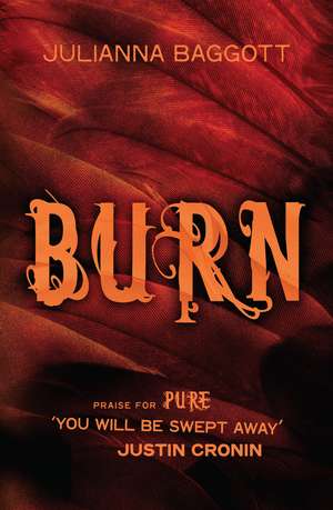 Baggott, J: Burn de Julianna Baggott